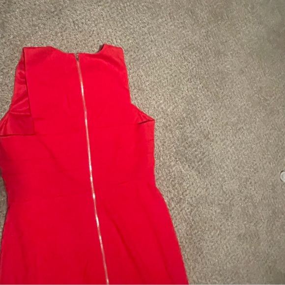 Express Dress - Picture 9 of 9